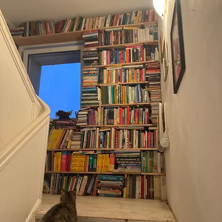 农家乐 Kuschliger Schaeferwagen Auf Wiese Autark Hausbreitenbach