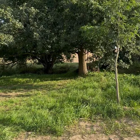 Kuschliger Schaeferwagen Auf Wiese Autark