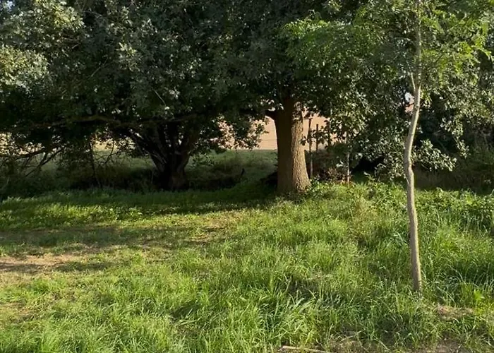 Kuschliger Schaeferwagen Auf Wiese Autark